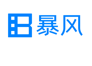 暴風集團-風迷節